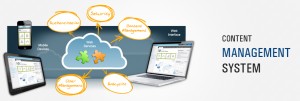 CONTENT MANAGEMENT SERVICES