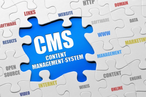 CONTENT MANAGEMENT SERVICES